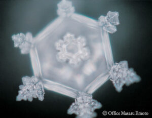 Masaru-Emoto-Beyond-the-Magazine