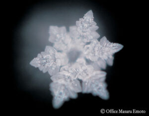 Masaru-Emoto-Beyond-the-Magazine