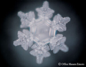 Masaru-Emoto-Beyond-the-Magazine