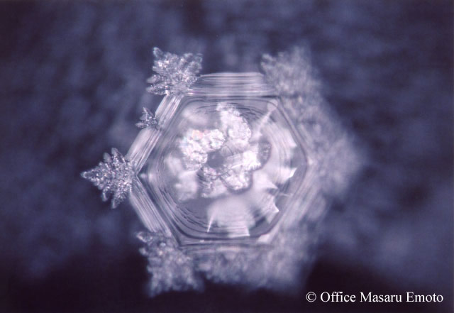 Masuru-Emoto-Beyond-the-Magazine