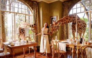 Giraffe-Manor-Nairobi-Beyond-the-Magazine