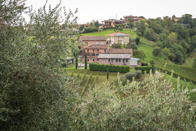 Vendemmia Notturna, presso la vigna di Sarah, articolo su Beyond the Magazine